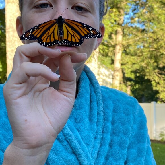 Meet your Posher, Bridget - Picture 1 of 3